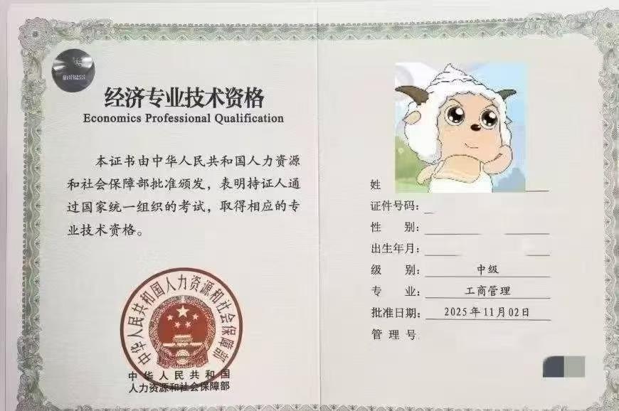初级、中级、高级经济师证书有什么区别?佰加教育:选对级别,薪资翻倍不是梦