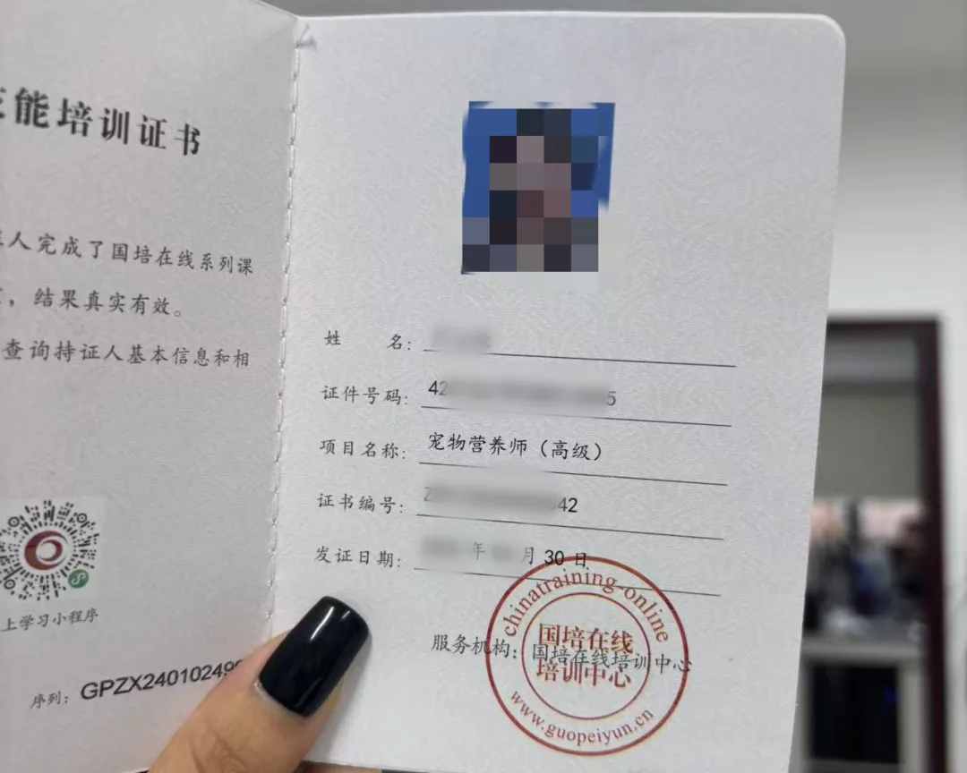 宠物营养师证书报考机构费用高吗?佰加教育王老师为你拆解报考条件与避坑要点