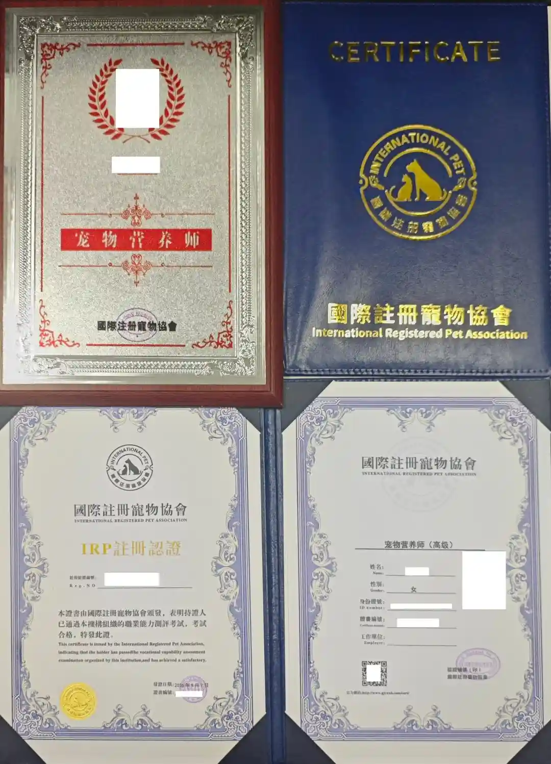 宠物营养师证书和宠物医生证书的区别？佰加教育为你拆解报考条件与职业路径，避开90%人踩的坑